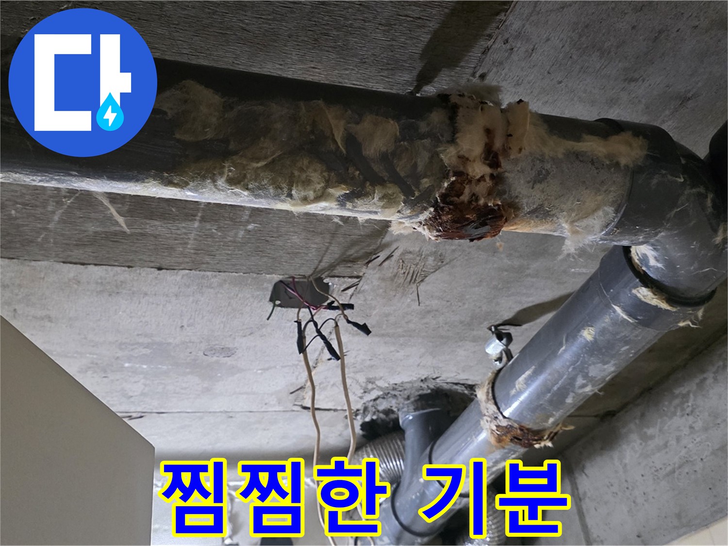 은평구 신사동 누수 - 낡은 오수 배관 - 찜찜한 기분 해결