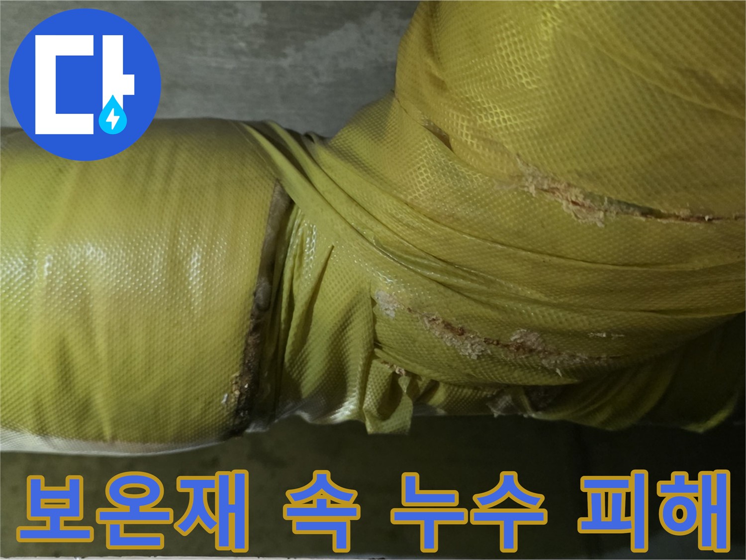배관 보온재 속 누수 - 아랫집 피해의 시작, 신속한 해결이 필요합니다.