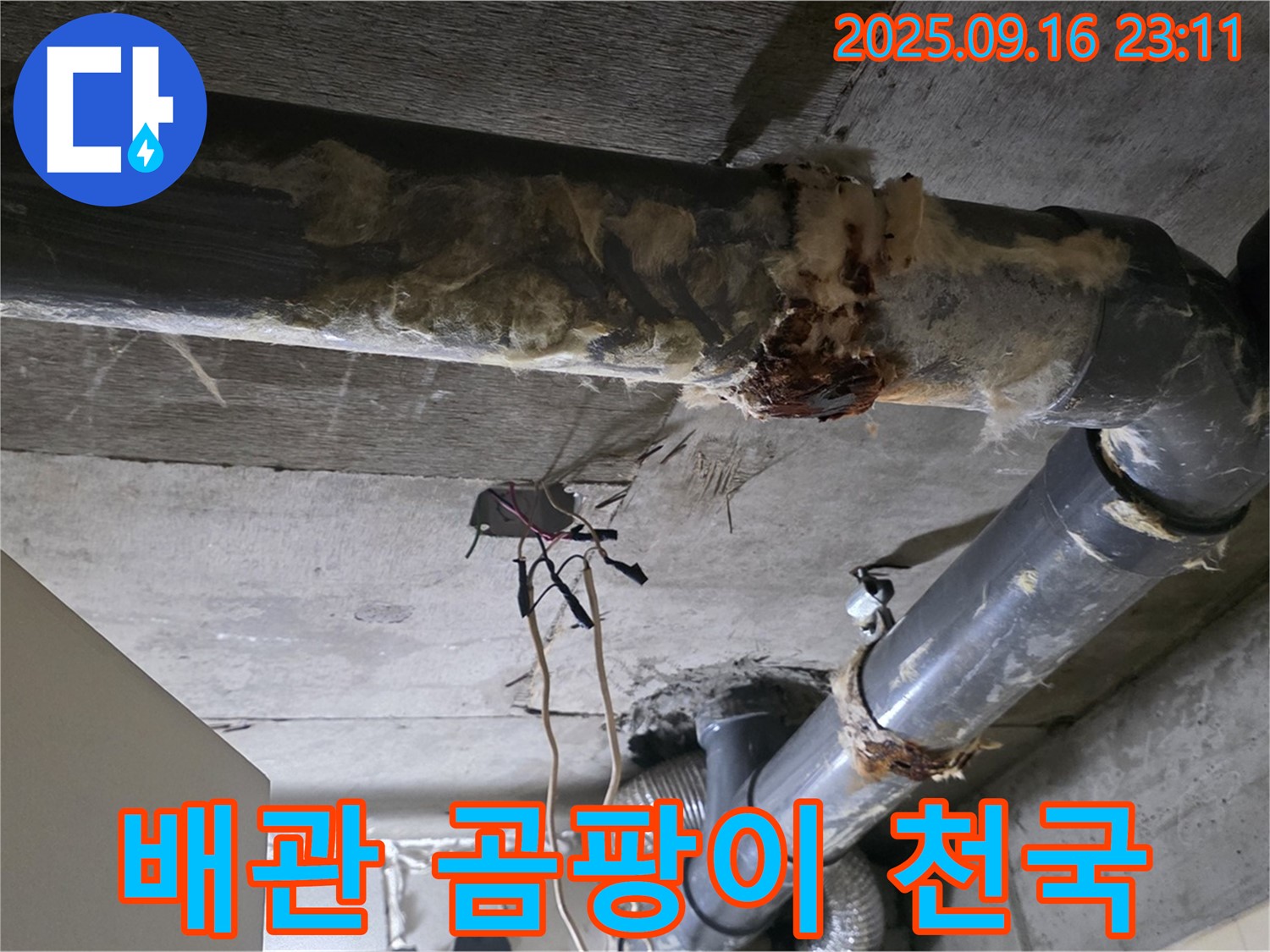 은평구 신사동 새절역 현대아파트 누수 - 낡은 배관은 곰팡이에게는 천국과 같습니다.