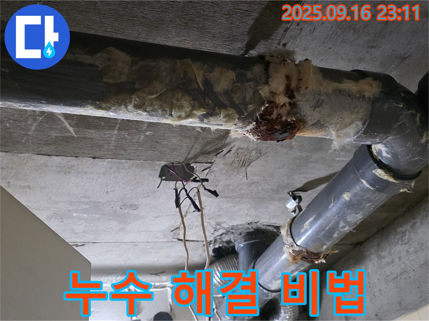 은평구 신사동 새절역 현대아파트 누수 - 베테랑의 누수 해결 노하우를 공개합니다!
