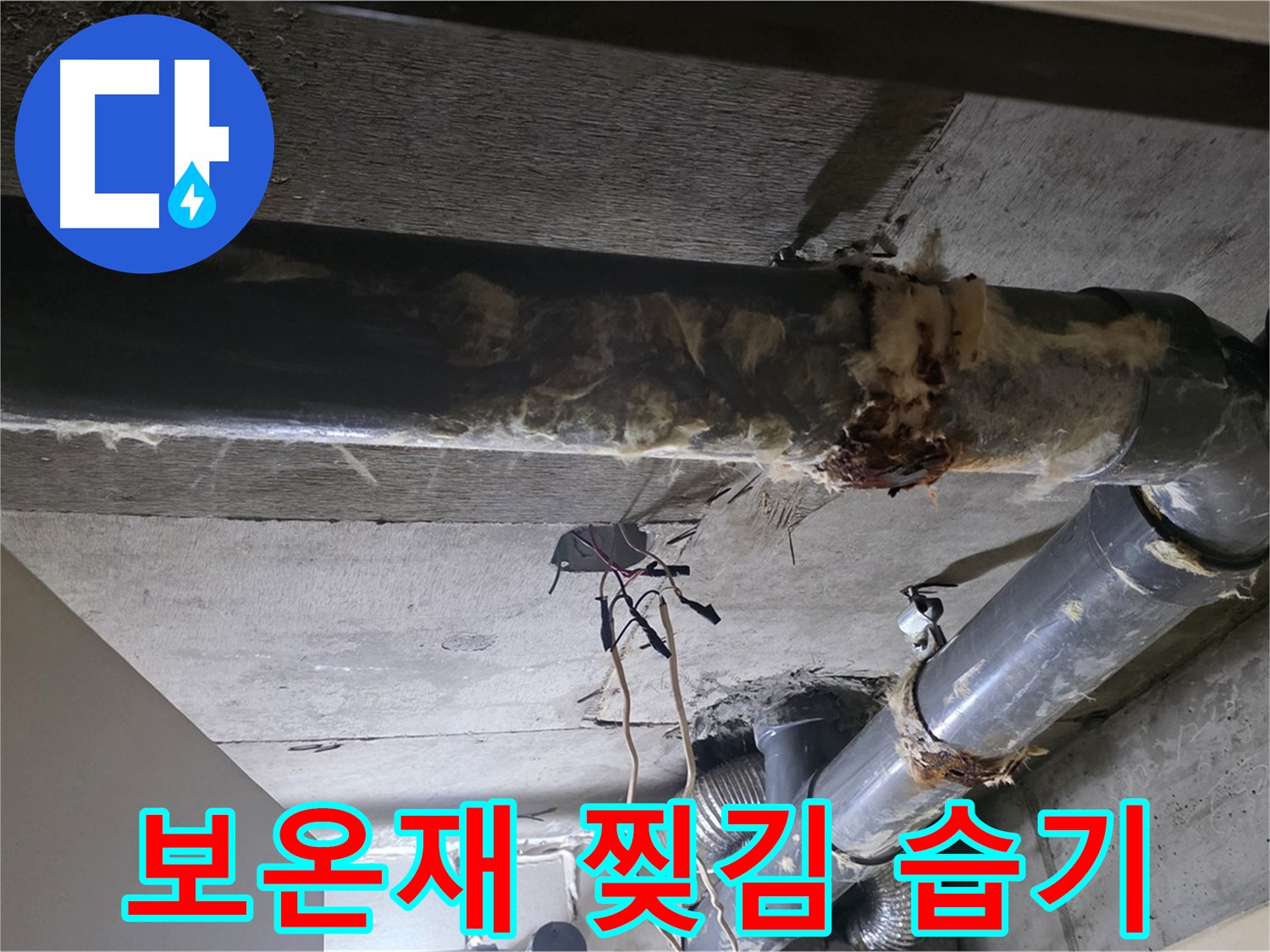은평구 신사동 - 하수 배관 보온재, 찢어지고 습기가 차 있네요