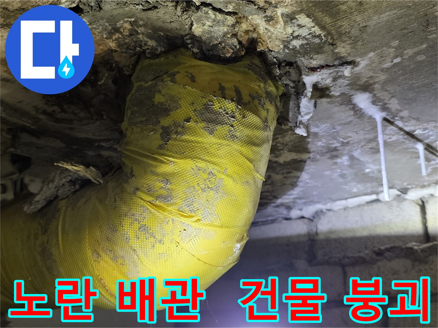 축축한 천장, 노란 배관의 절규 - 누수 방치 시 건물 붕괴 위험 - 새절역 누수 긴급 점검