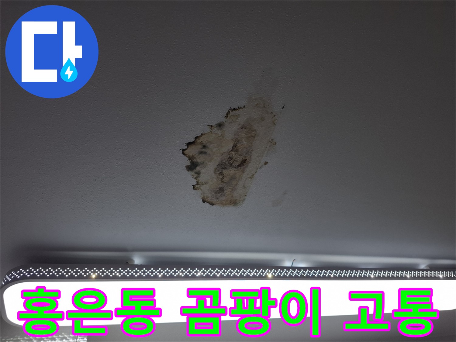 곰팡이 뒤덮인 천장 - 고통을 덜어드립니다