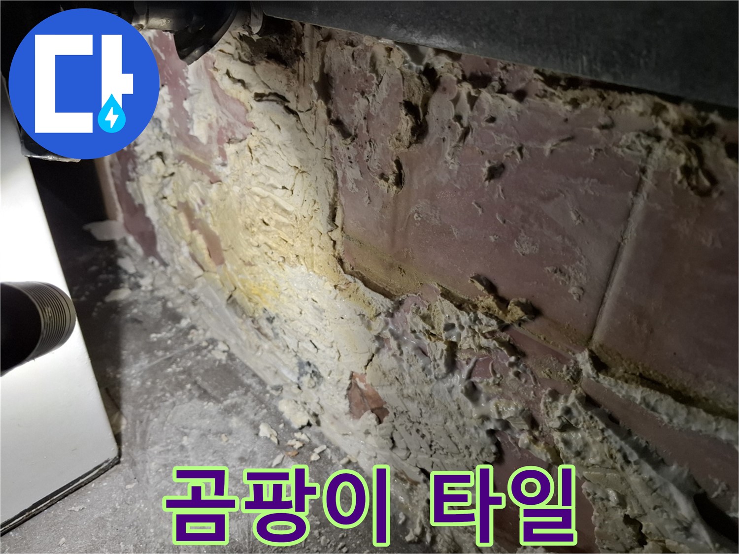 서대문구 홍은빌라 누수 - 곰팡이 핀 타일 상태