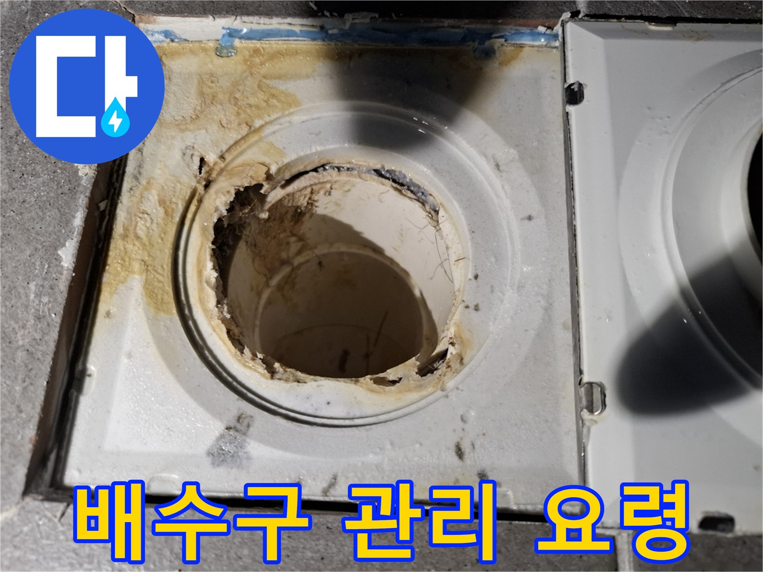 욕실 배수구 관리 요령 - 누수 예방 및 수명 연장