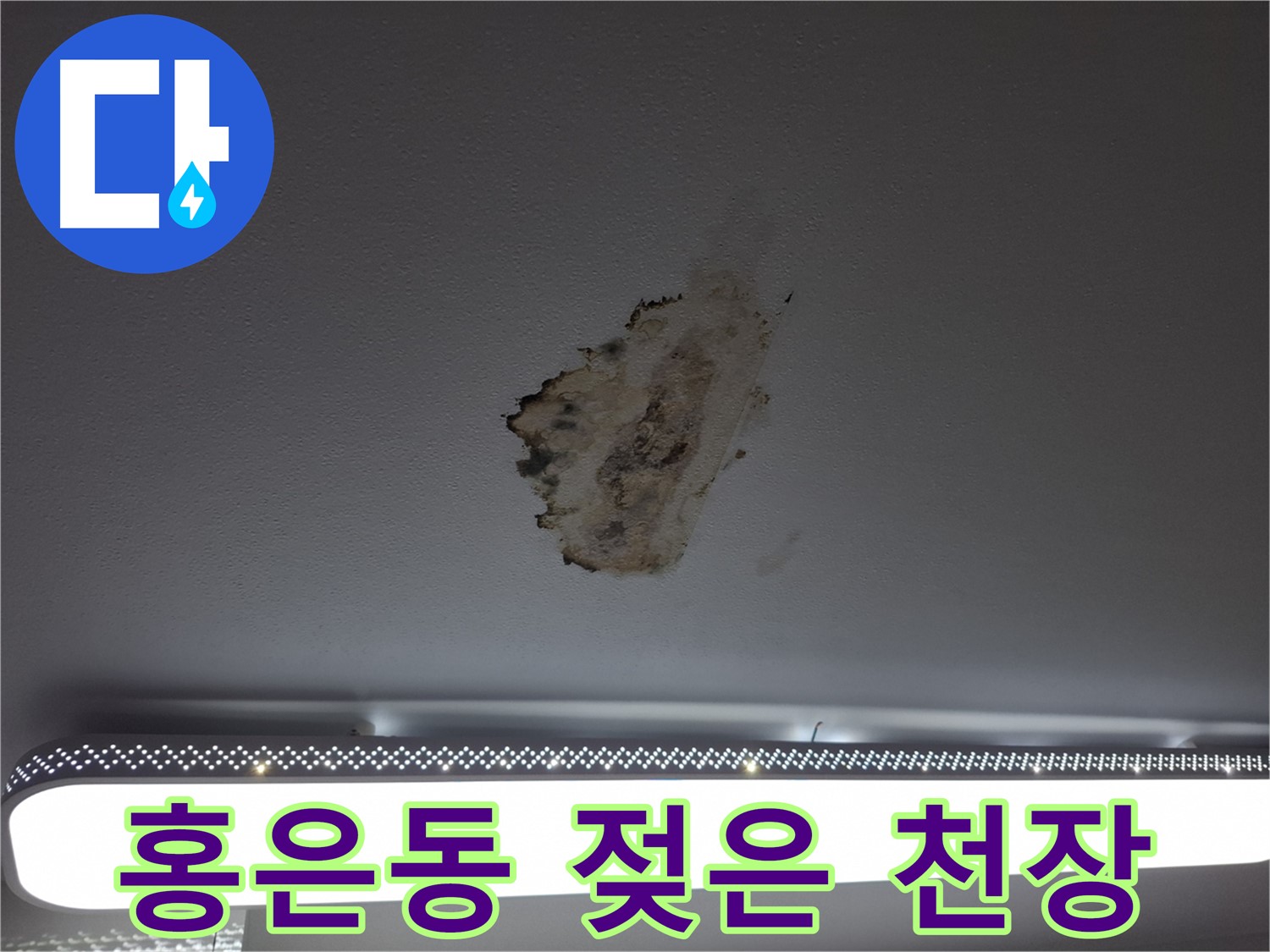 젖은 천장 - 누수의 고통, 이제 그만