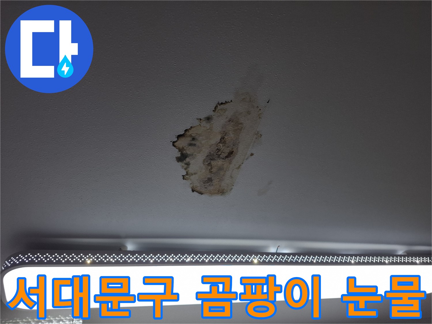 곰팡이 얼룩진 천장 - 누수 해결과 눈물 닦아주기