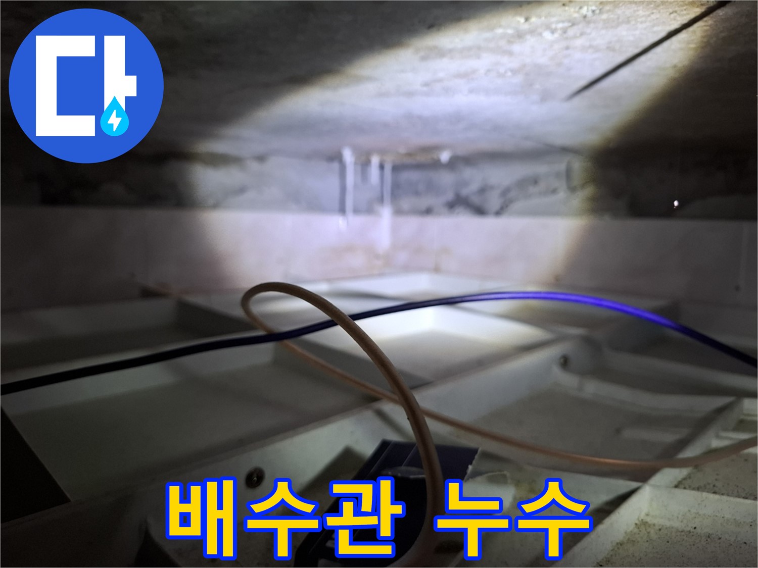 홍은동 빌라 천장 배수관 누수 - 천장에서 물이 떨어지는 긴급 상황