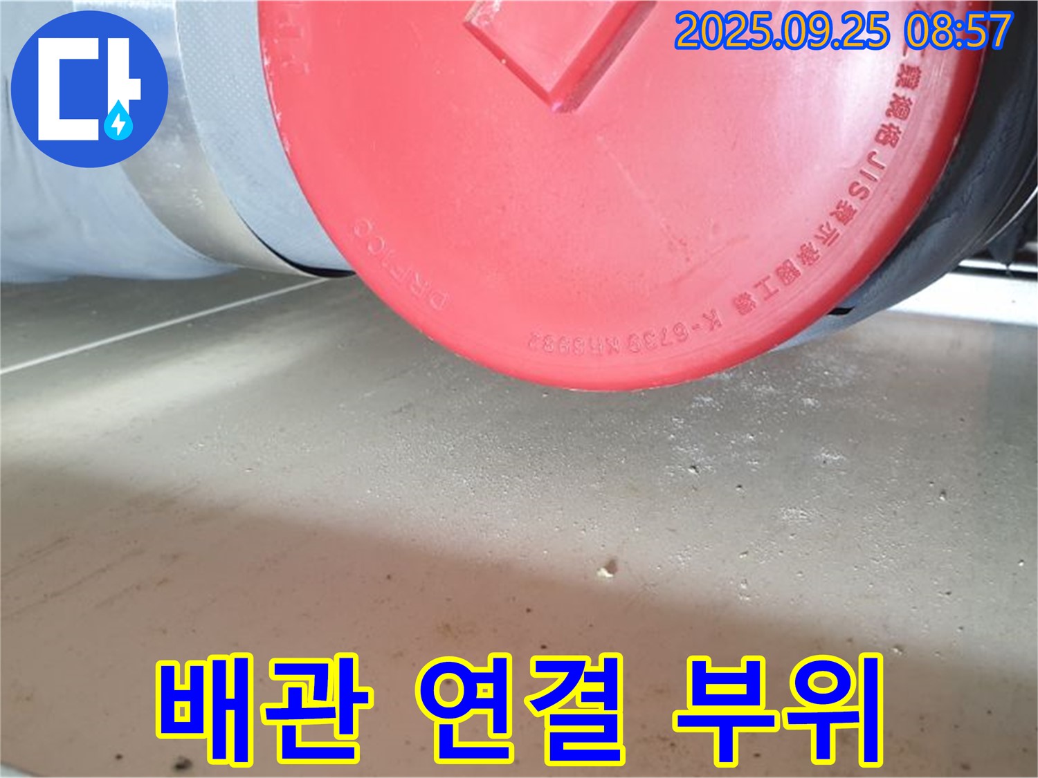 양주시 광적면 가납리 누수 현장에서 배관 연결 부위의 상태를 자세히 살펴보고 있습니다 - 합리적인 가격으로 해결해 드립니다.