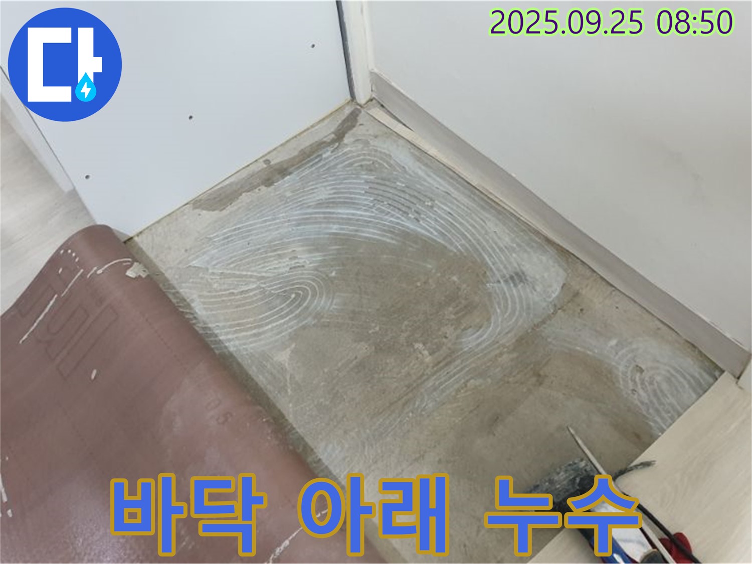 백석읍 바닥 아래 숨은 누수 완벽 해결 - 누수 지점을 찾아 바닥을 파내고 보수 작업을 진행하고 있습니다.