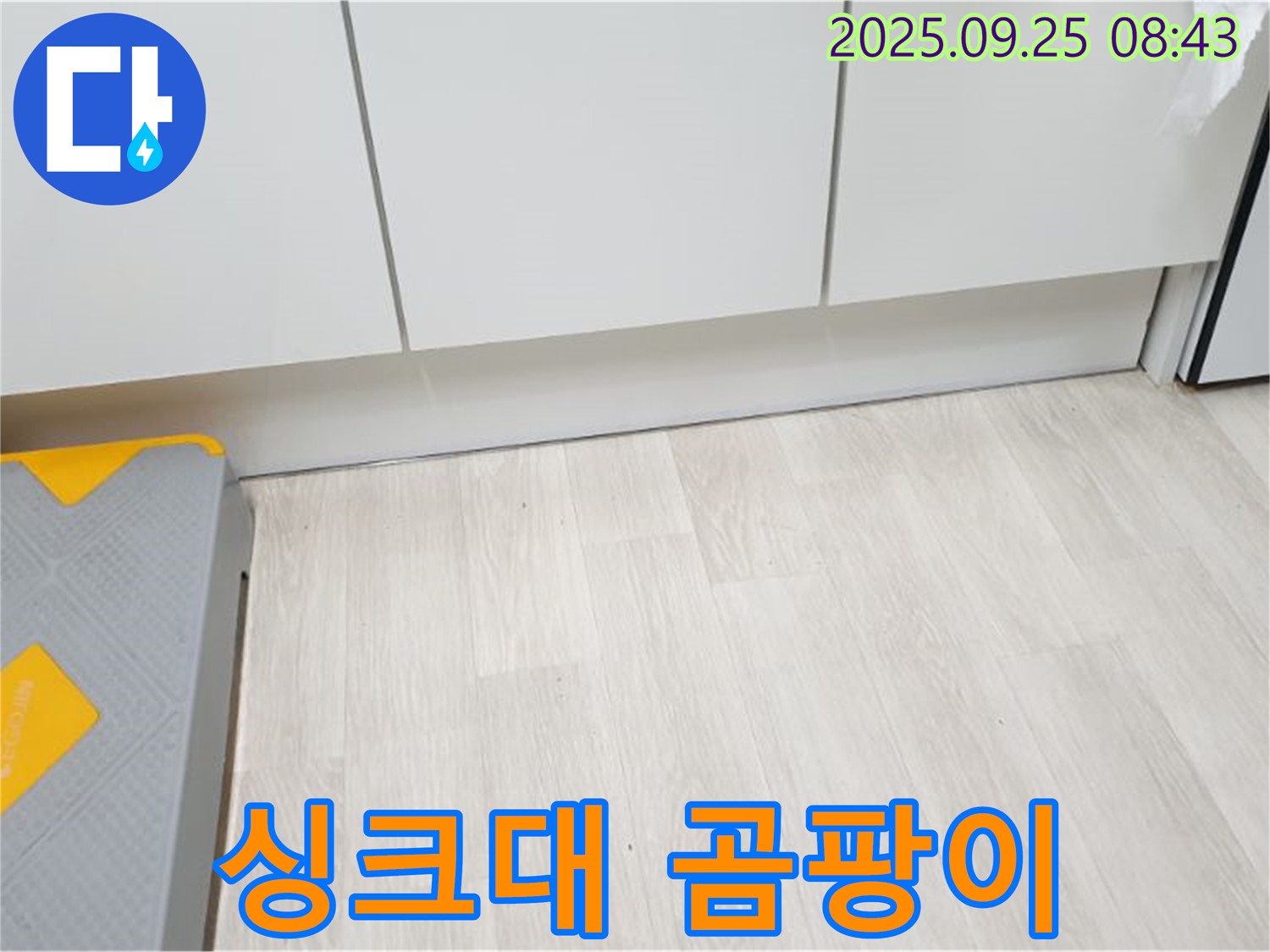 싱크대 하부 곰팡이 얼룩 - 누수와 함께 제거가 필요합니다.