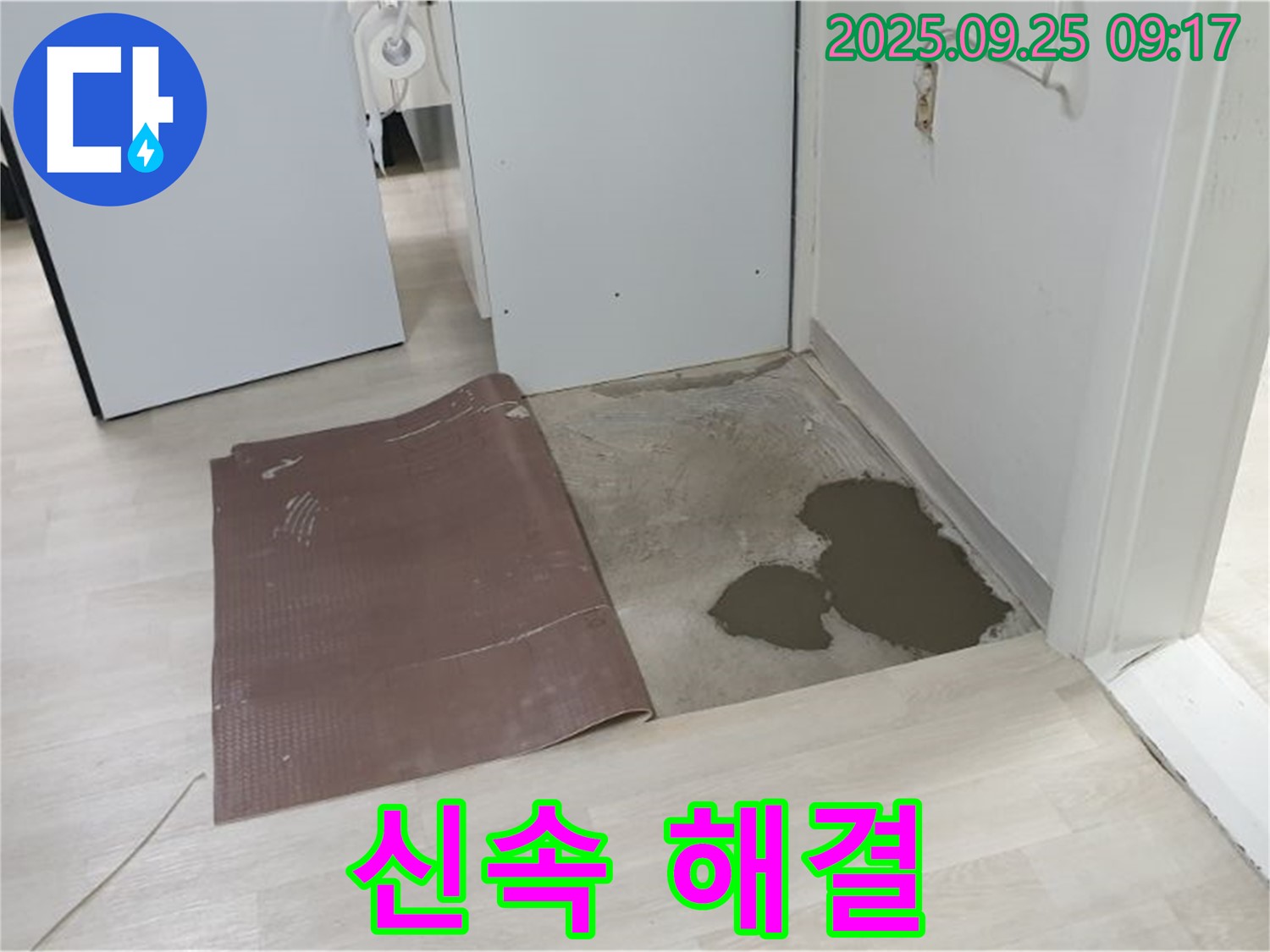 양주시 백석읍 연곡리 누수 - 장판 밑 누수 신속 정확 해결