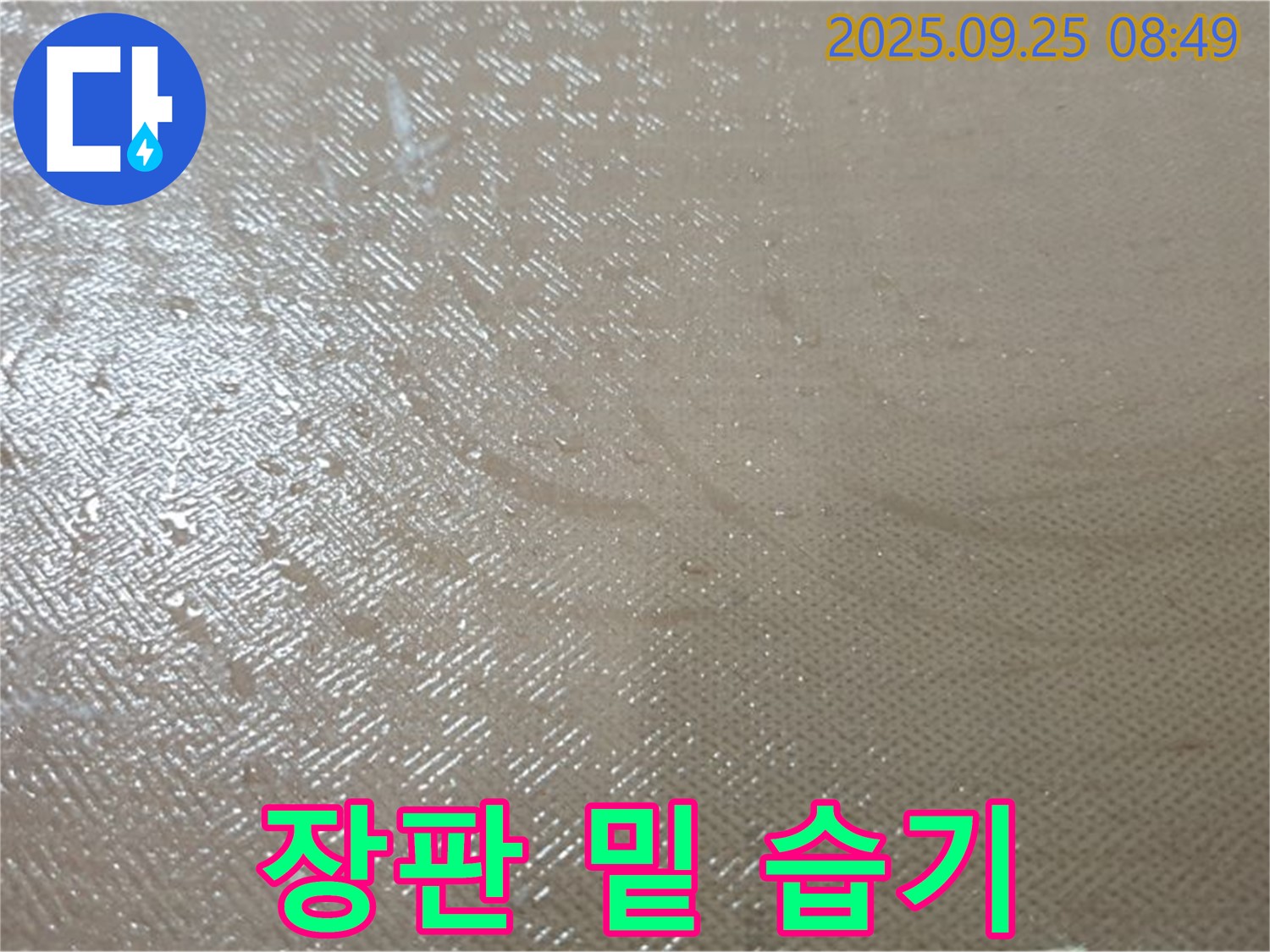 양주시 백석읍 연곡리 누수 - 장판 밑 습기, 꼼꼼한 점검으로 누수를 찾아냅니다.