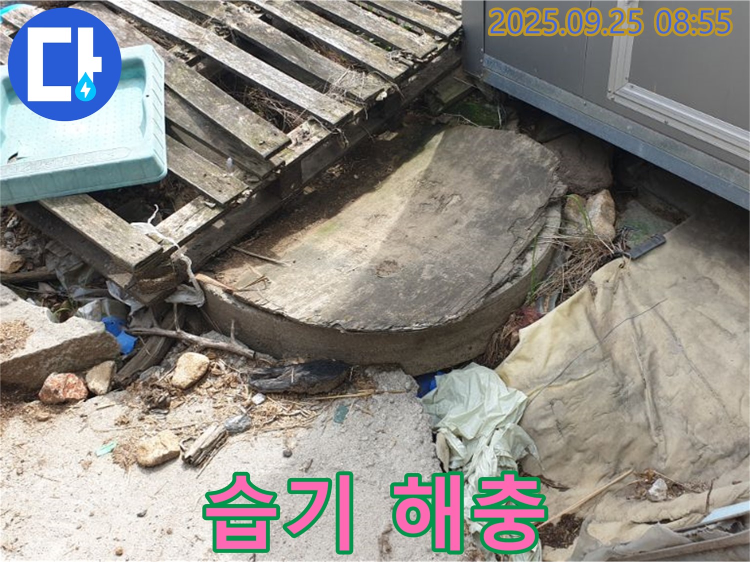 양주시 백석읍 복지리 누수 - 폐자재 속 습기 해충 서식