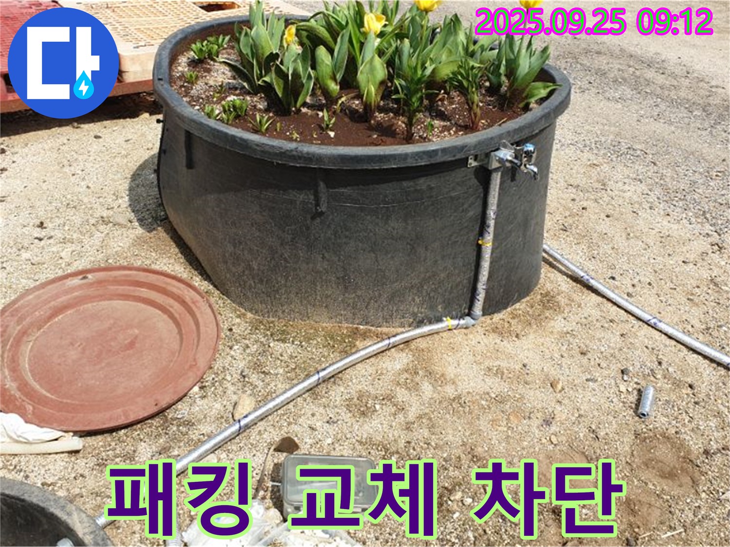 양주시 백석읍 복지리 화단 물탱크 - 고무 패킹 노후로 인한 급수 배관 연결 부위 누수를 교체 후 완벽하게 차단하는 모습입니다.