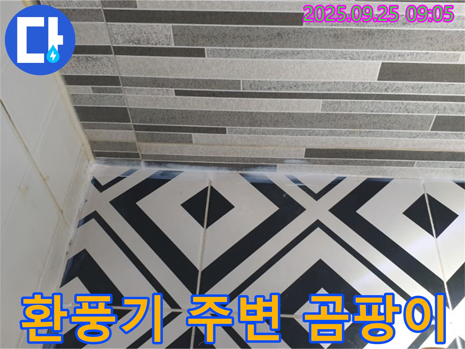 환풍기 주변 곰팡이 - 화장실 환풍기 주변에 곰팡이가 슨 모습입니다. 누수 신호일 수 있습니다.