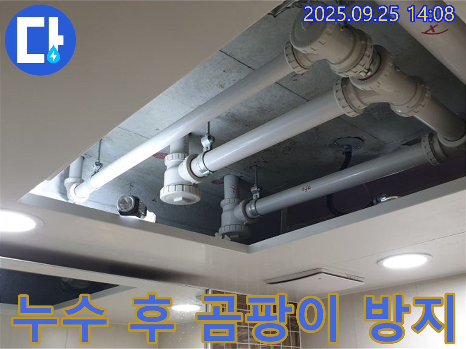 의정부2동 누수 - 완벽한 누수 시공으로 곰팡이 걱정 없이 쾌적한 환경을 만들어 드립니다.