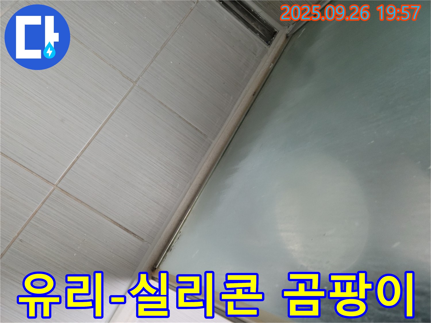 동두천 강변로 욕실 누수 - 샤워부스 유리와 실리콘 사이 곰팡이 발생