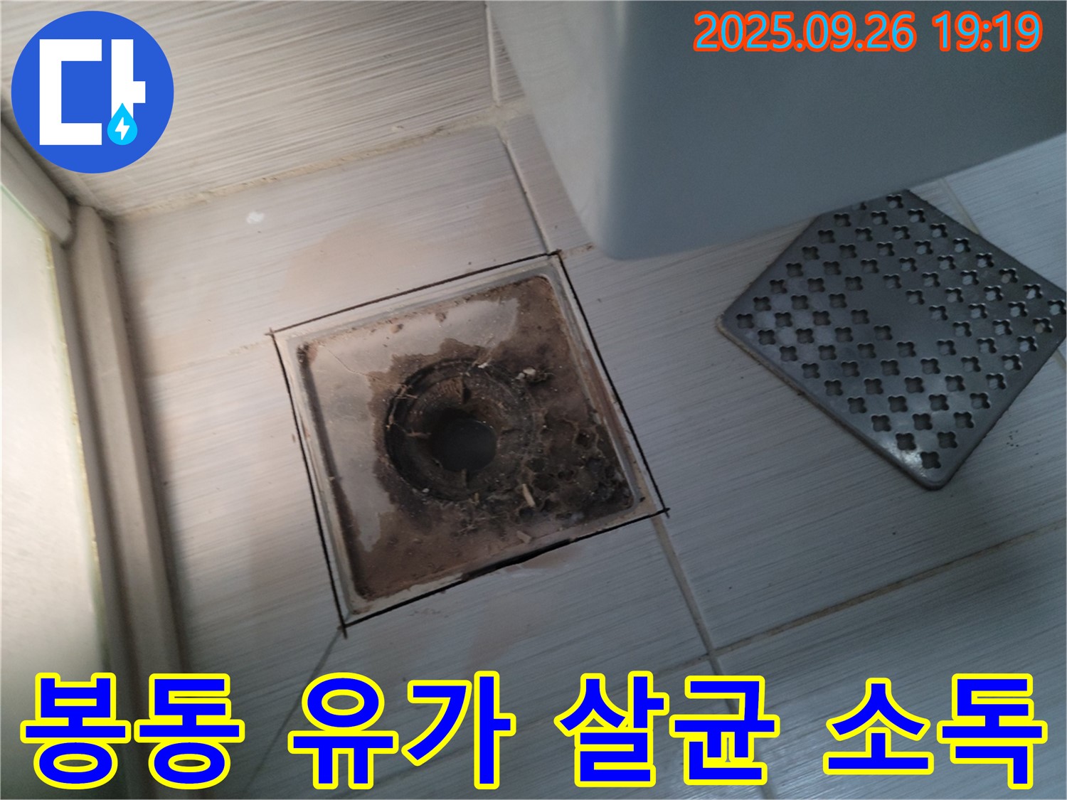 동두천 누수 - 봉동 - 욕실 유가 청소, 완벽한 살균 소독으로 마무리 - 안심하고 사용하세요.