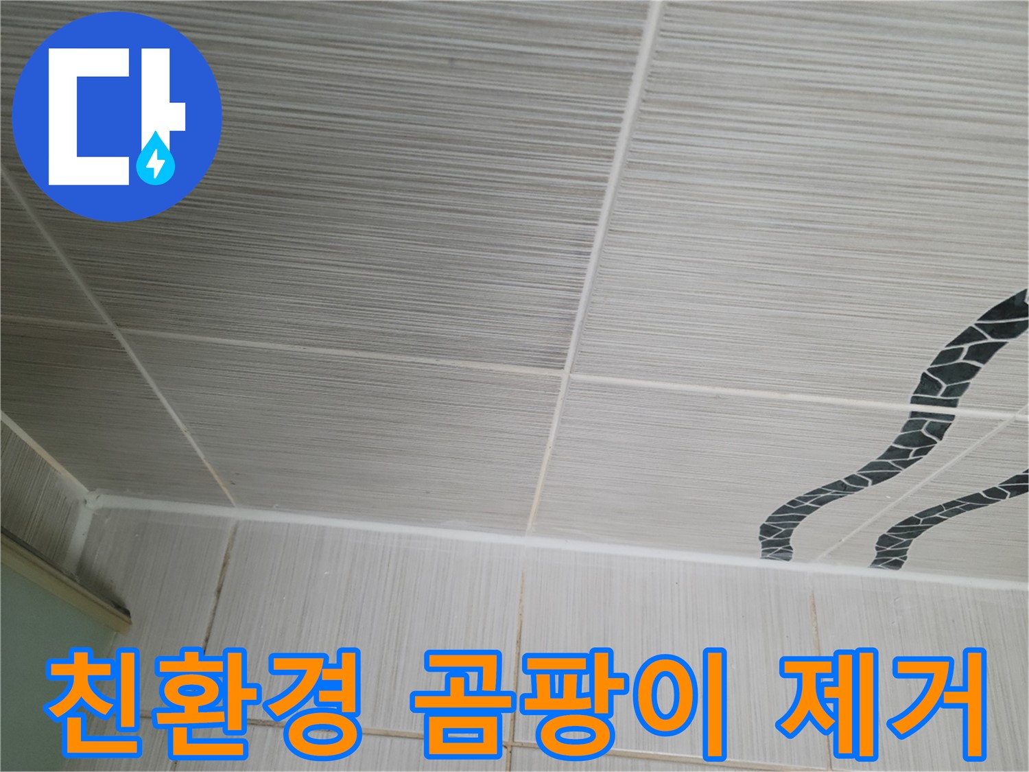 동두천 누수 - 욕실 벽 타일 틈새의 곰팡이를 친환경 약품으로 완벽하게 제거합니다.