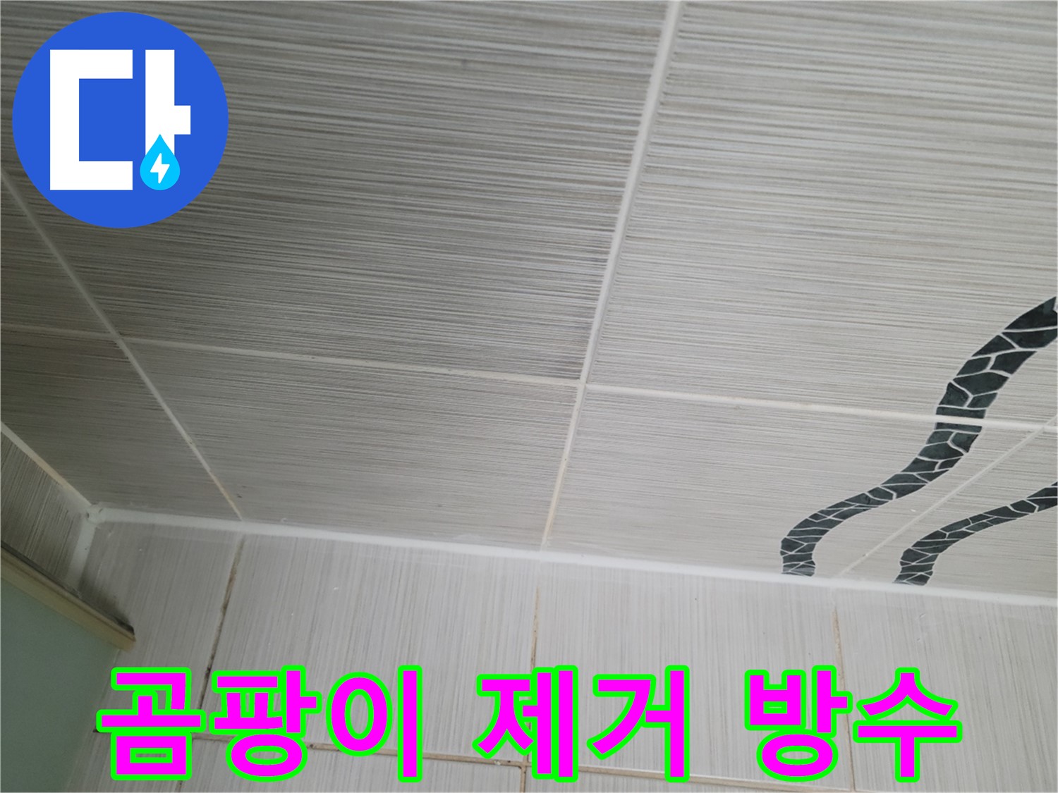 동두천 누수 - 욕실 천장 타일 틈새의 곰팡이를 꼼꼼하게 제거하고 방수 작업을 진행합니다.