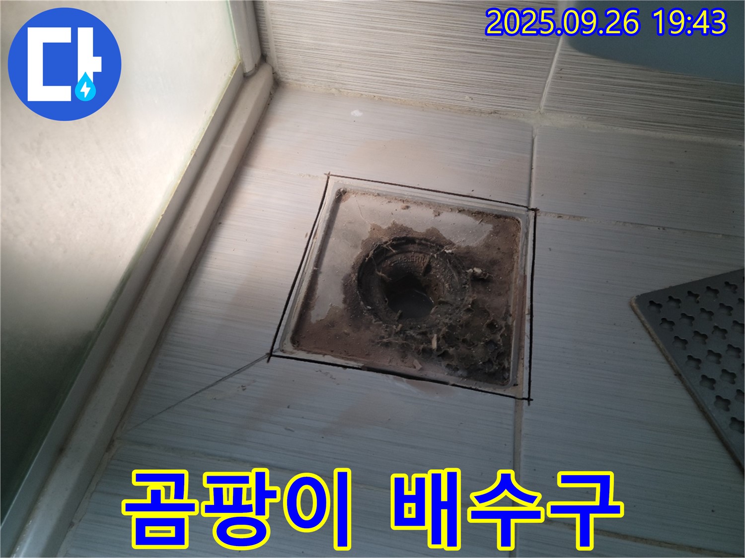 동두천 누수 전문 업체에서 곰팡이가 심하게 핀 욕실 배수구를 점검하는 모습 - 건강까지 위협하는 곰팡이의 위험성을 알려드립니다.