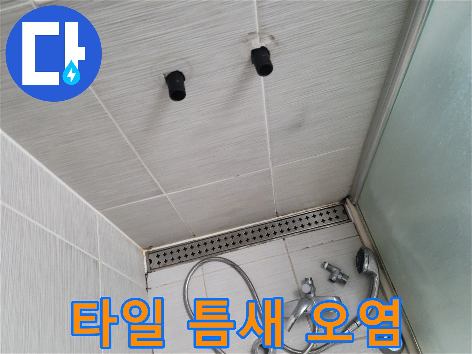 동두천 신창동 - 샤워기 주변 천장 타일 틈새의 오염된 모습 - 틈새를 노리는 누수의 흔적!