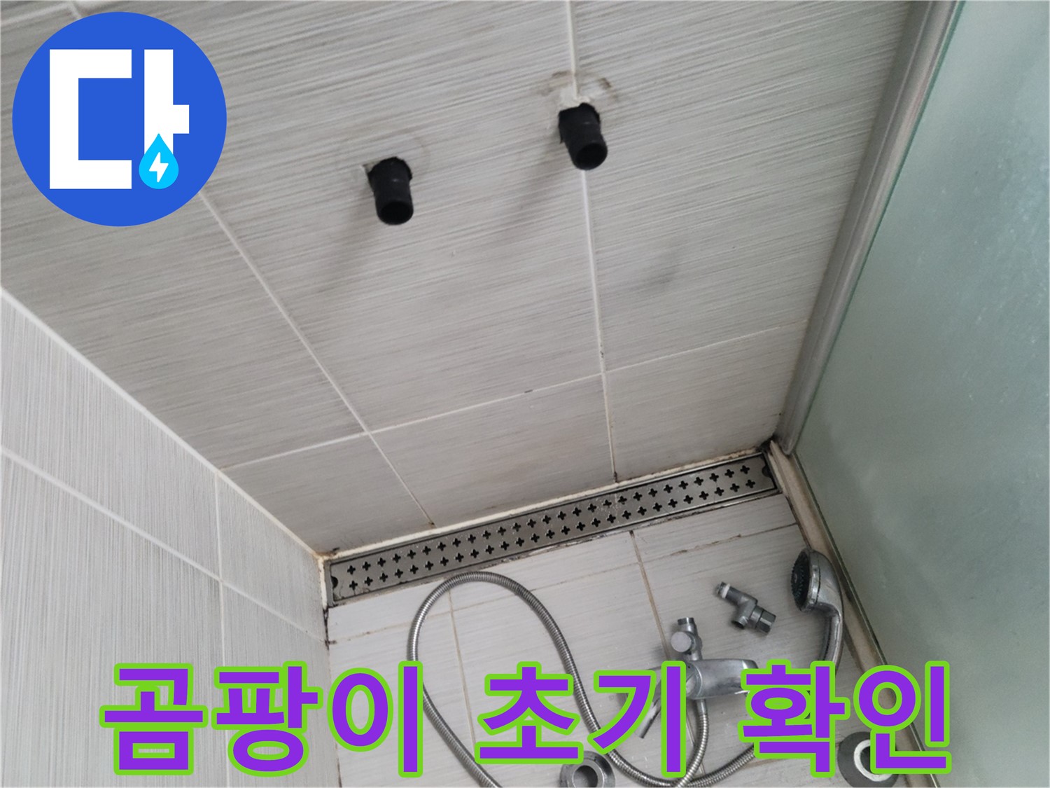 동두천 신창비바 - 샤워기 철거 후 벽면 곰팡이 초기 발생 확인