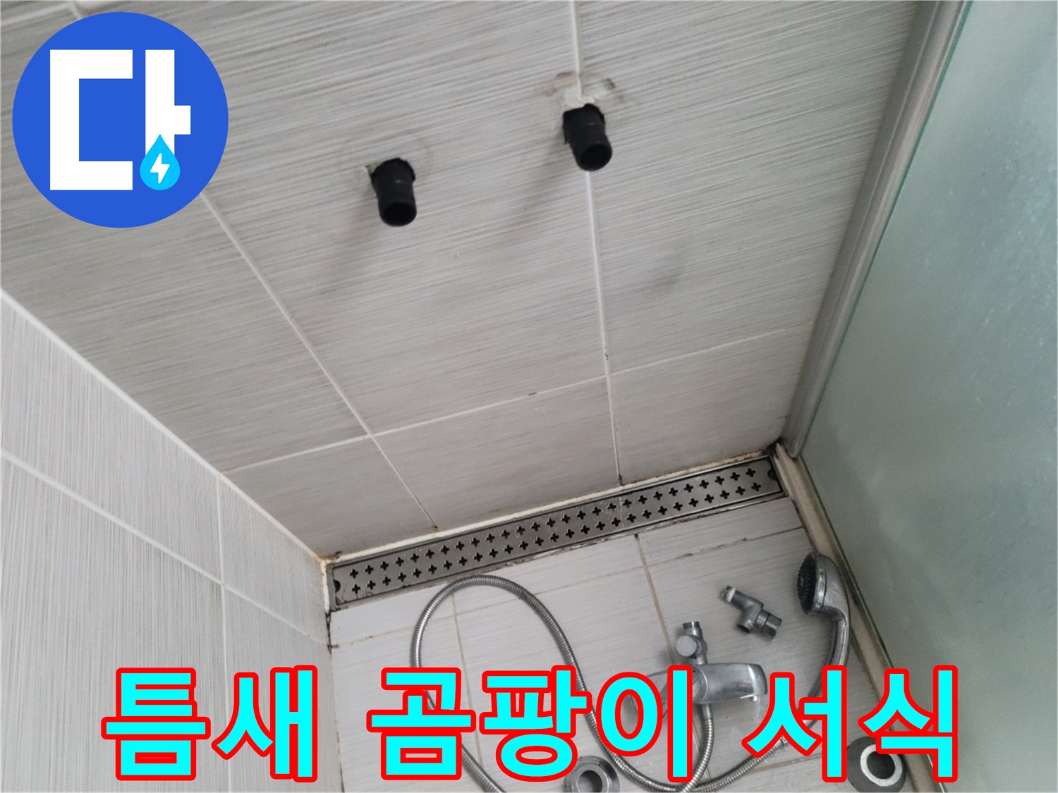 동두천 신창비바 - 샤워기 철거 후 벽면 타일 틈새 곰팡이 서식 확인