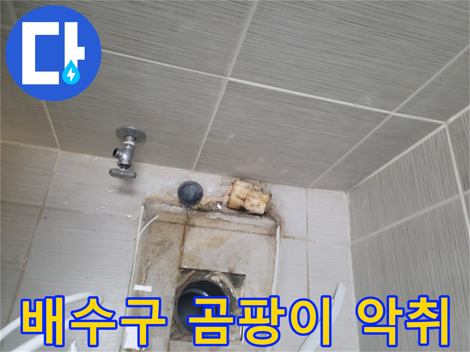 동두천 신창비바패밀리-2단지 욕실 배수구 주변 곰팡이와 악취 발생