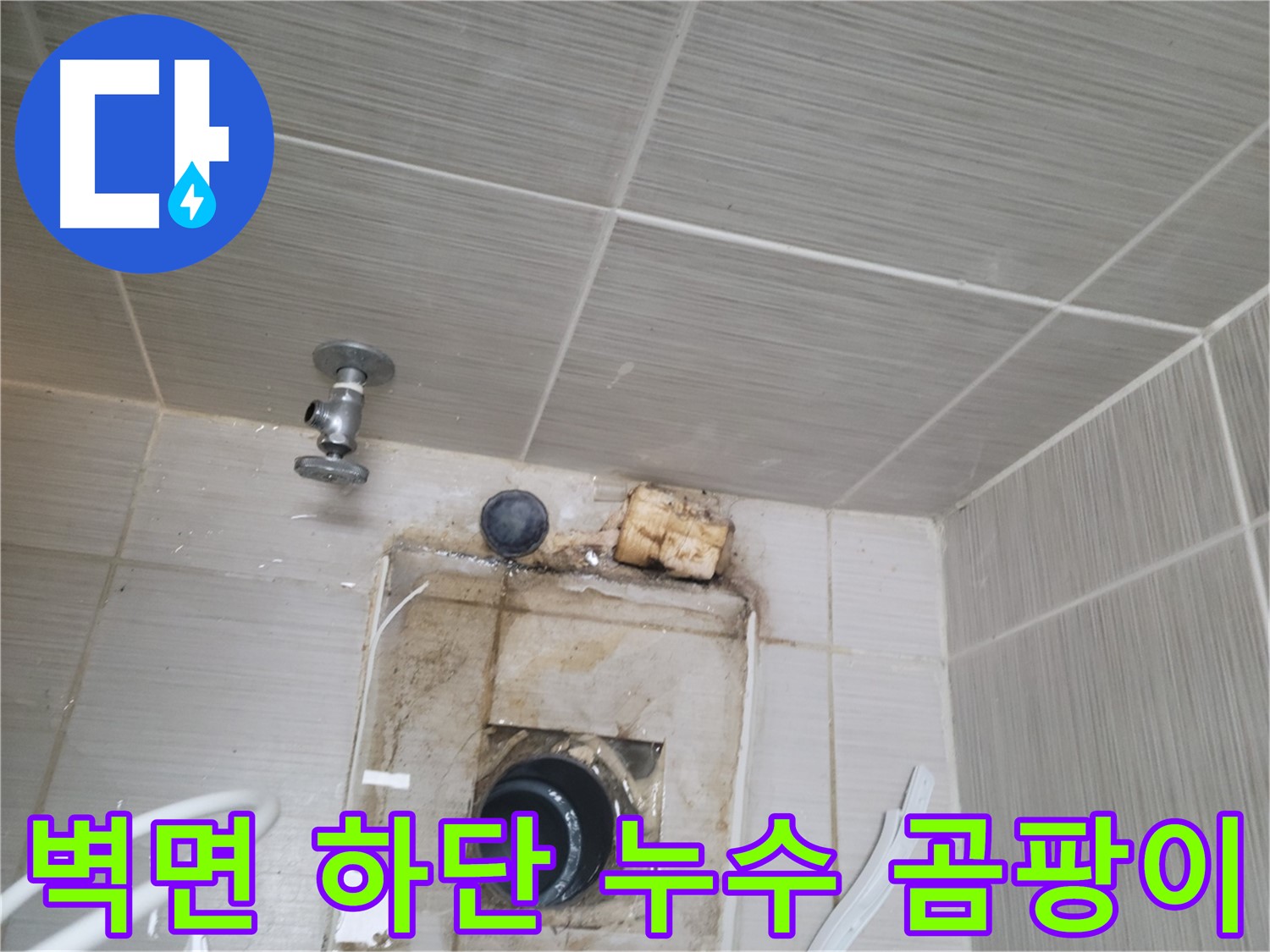동두천 신창비바패밀리-2단지 욕실 벽면 하단 누수 및 곰팡이