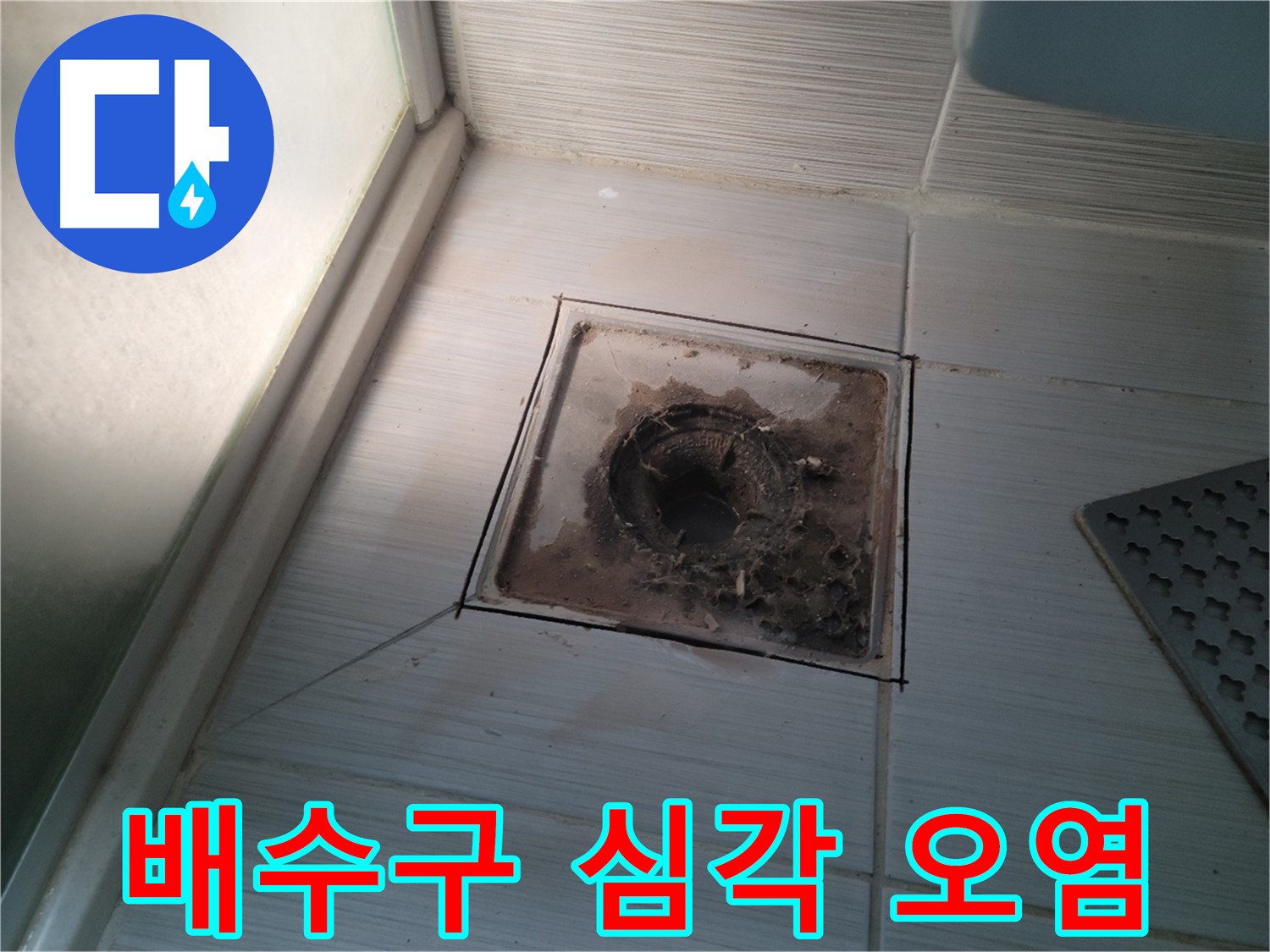 욕실 배수구 심각한 오염 상태 - 즉시 청소 및 점검 필요