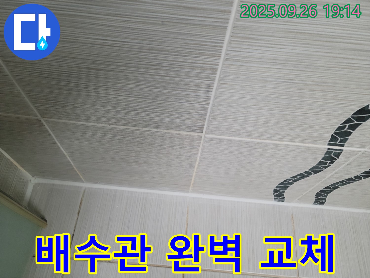 배수관 완벽 교체 - 새 배관으로 완벽하게!