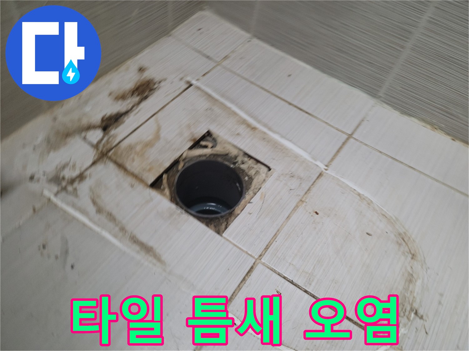 배수구 주변 - 타일 틈새 오염, 누수 위험 재확인