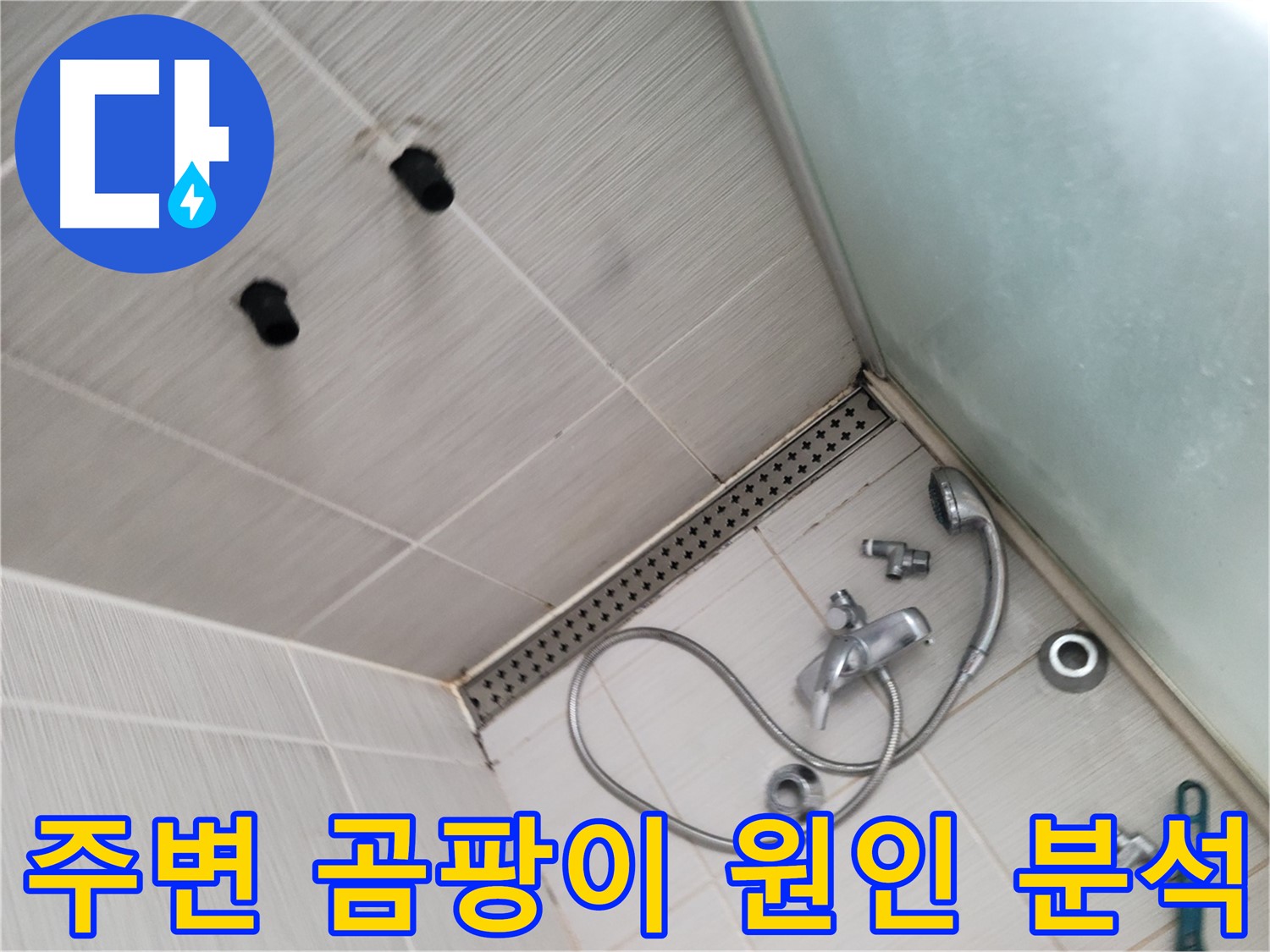 샤워기 배관 주변 곰팡이 발생 원인 분석 - 습기 및 누수 여부 확인