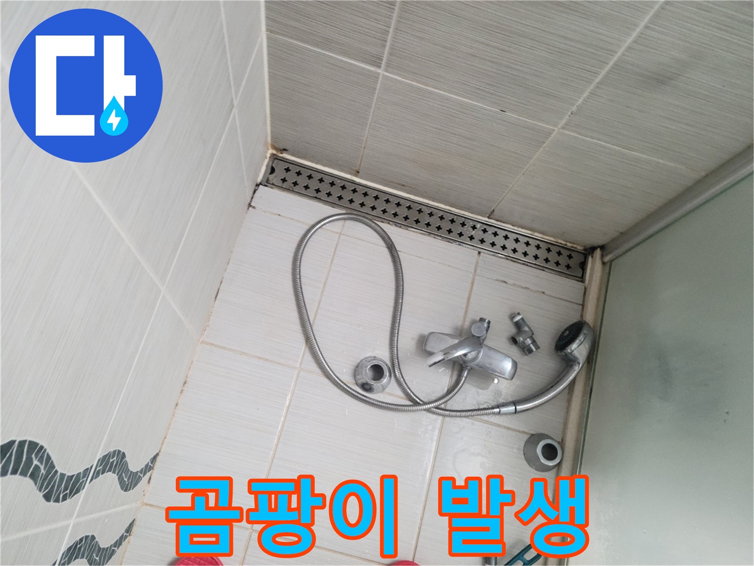 샤워기 배수구 주변 곰팡이 발생 - 청소 시급