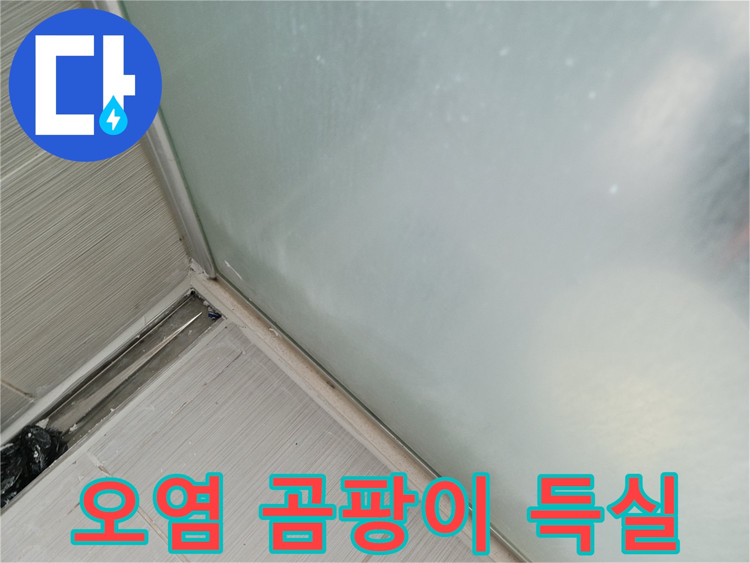 샤워부스 누수 - 오염 심각 - 곰팡이 득실