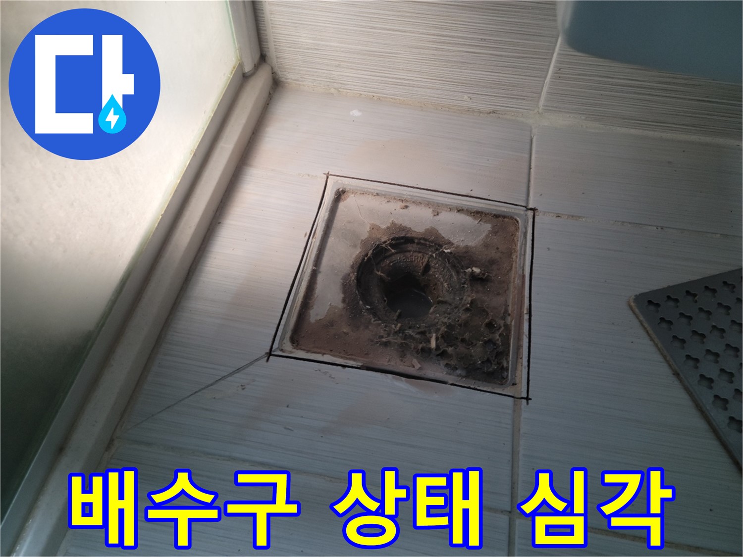신창비바패밀리 욕실 배수구 - 상태 심각, 누수 긴급 점검 필요!