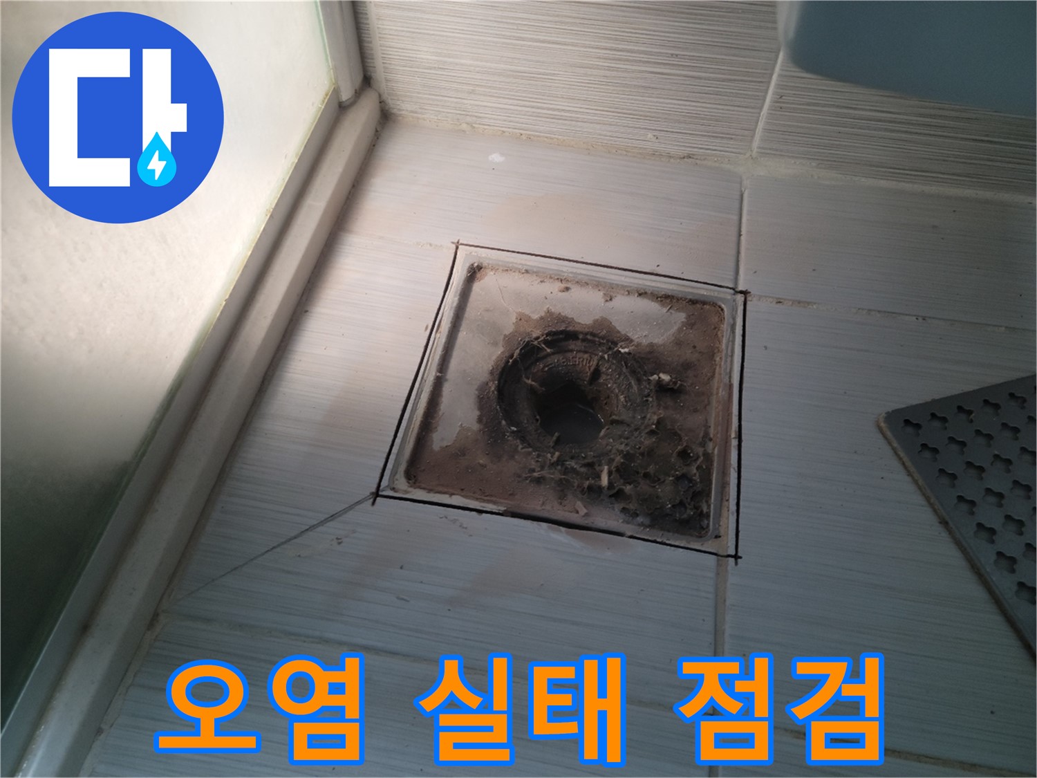 신창비바패밀리 욕실 배수구 - 오염 실태 집중 점검!