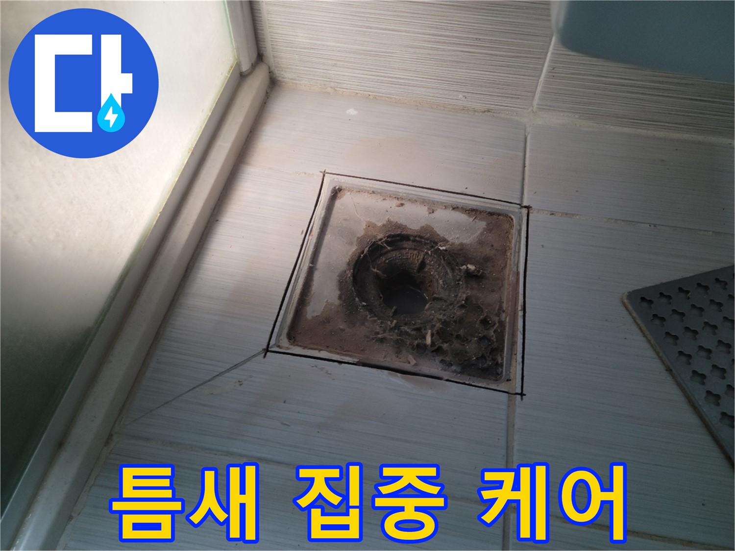 신창비바패밀리 욕실 배수구 - 타일 틈새 집중 케어!
