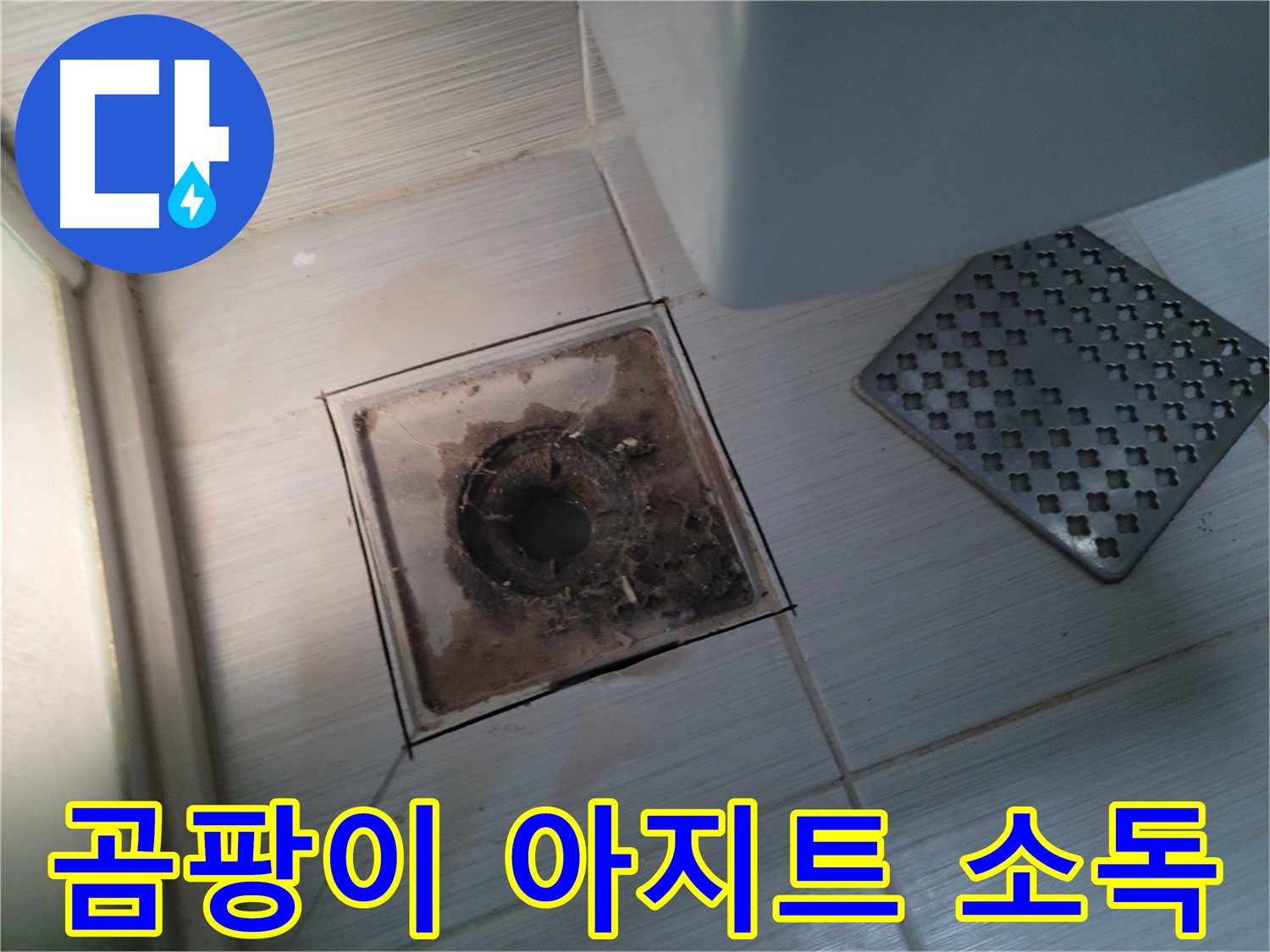 욕실 배수구 - 곰팡이 아지트 - 살균 소독으로 깨끗하게