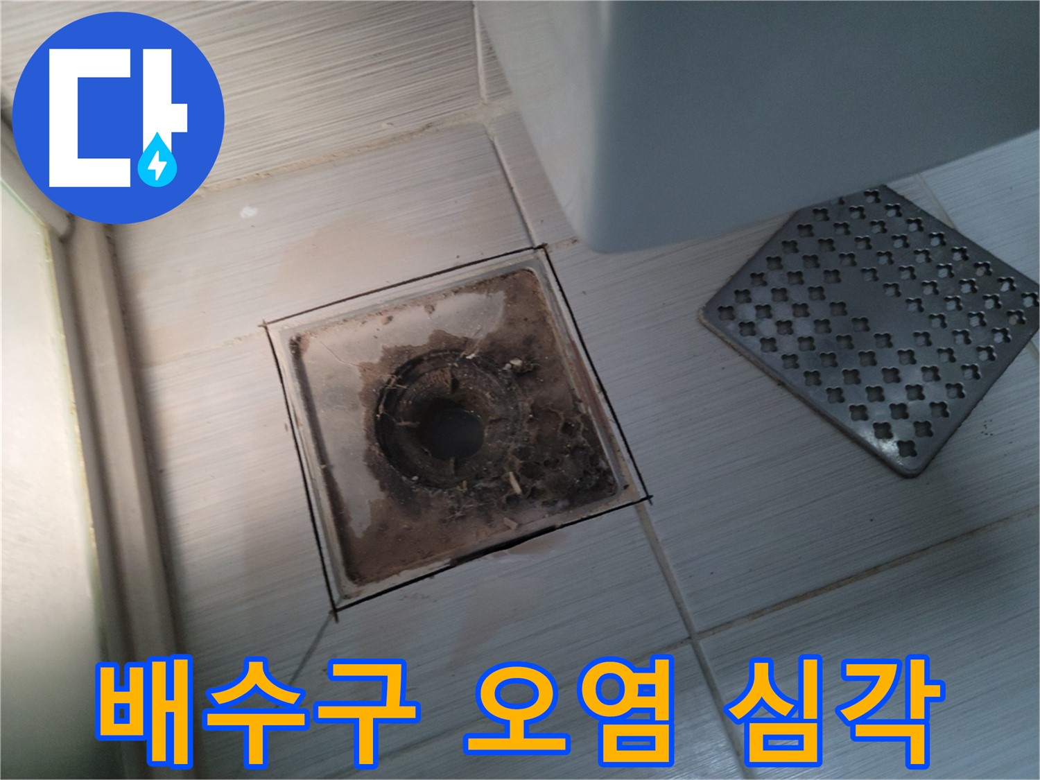 욕실 배수구 - 심각한 오염 상태 - 꼼꼼한 청소로 해결
