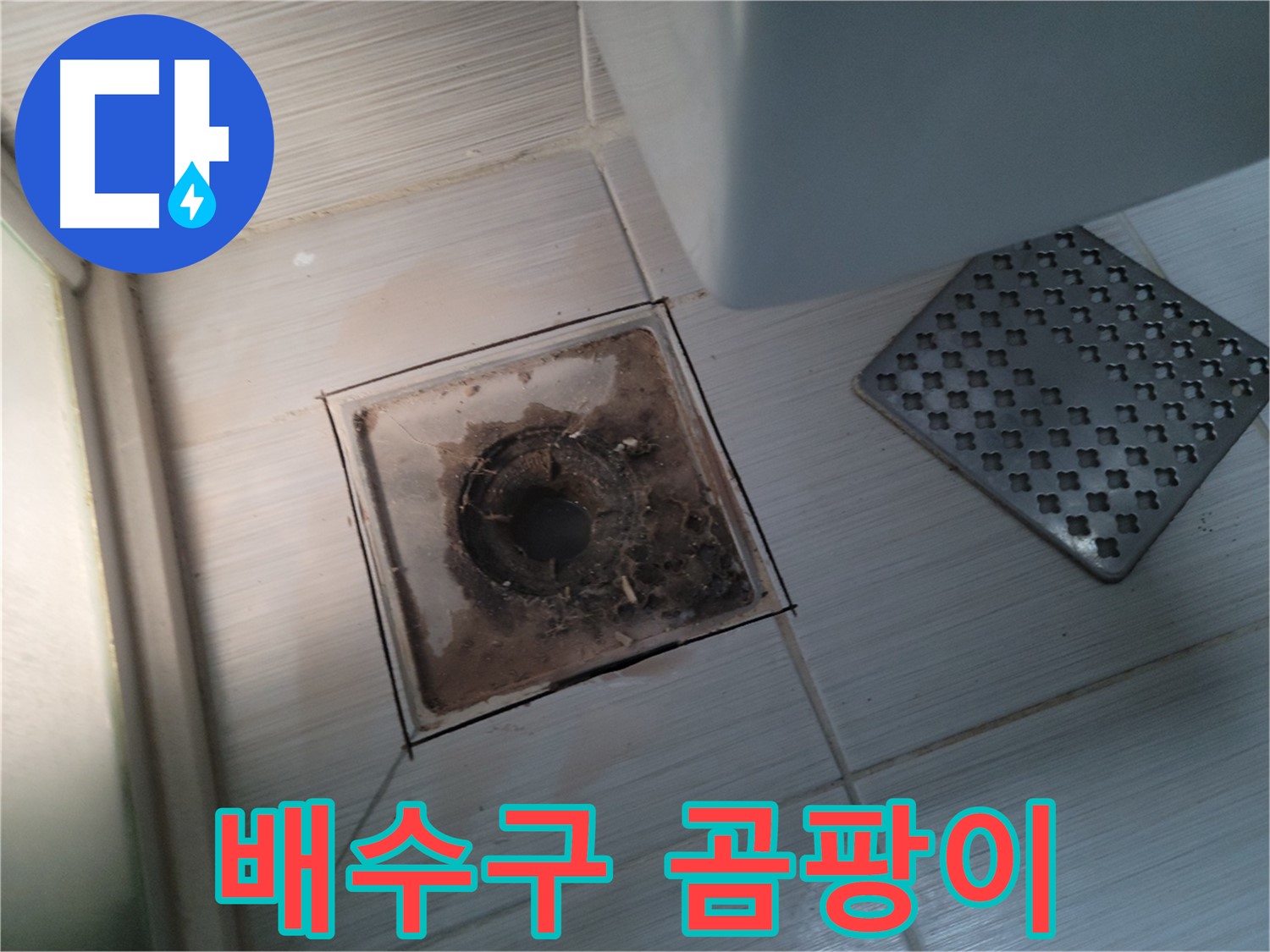 욕실 배수구 주변 - 곰팡이 발생 - 완벽 제거 및 곰팡이 방지 시공