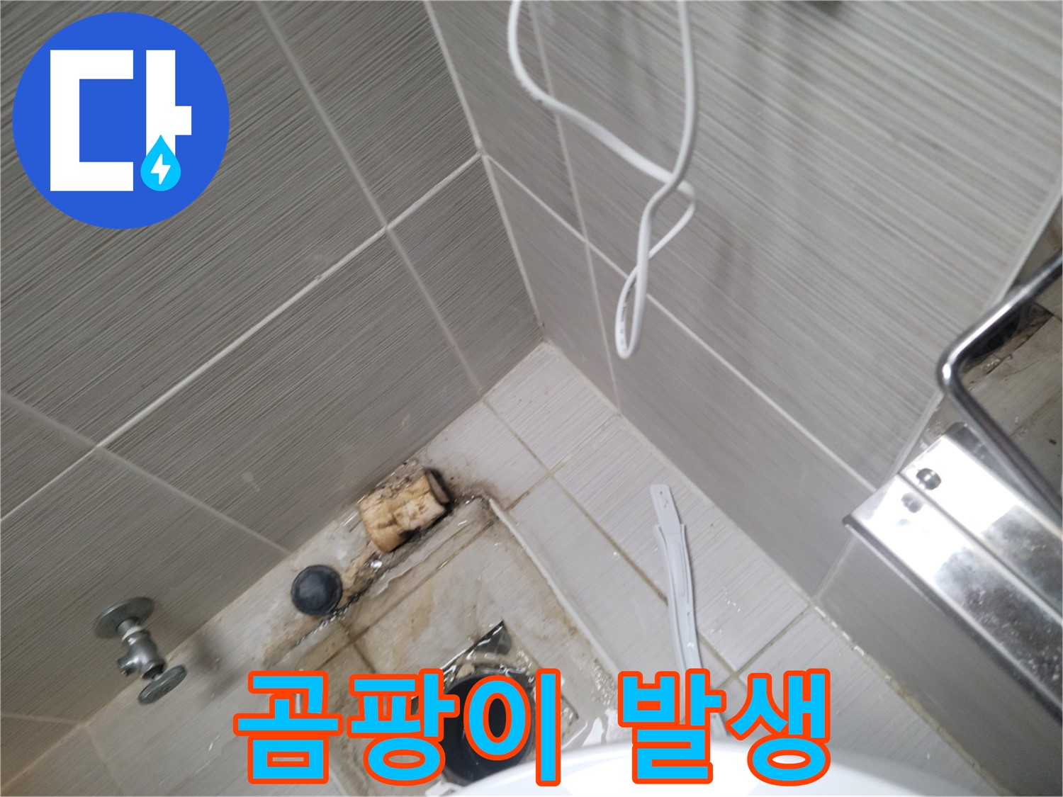욕실 하수구 주변 - 곰팡이 발생