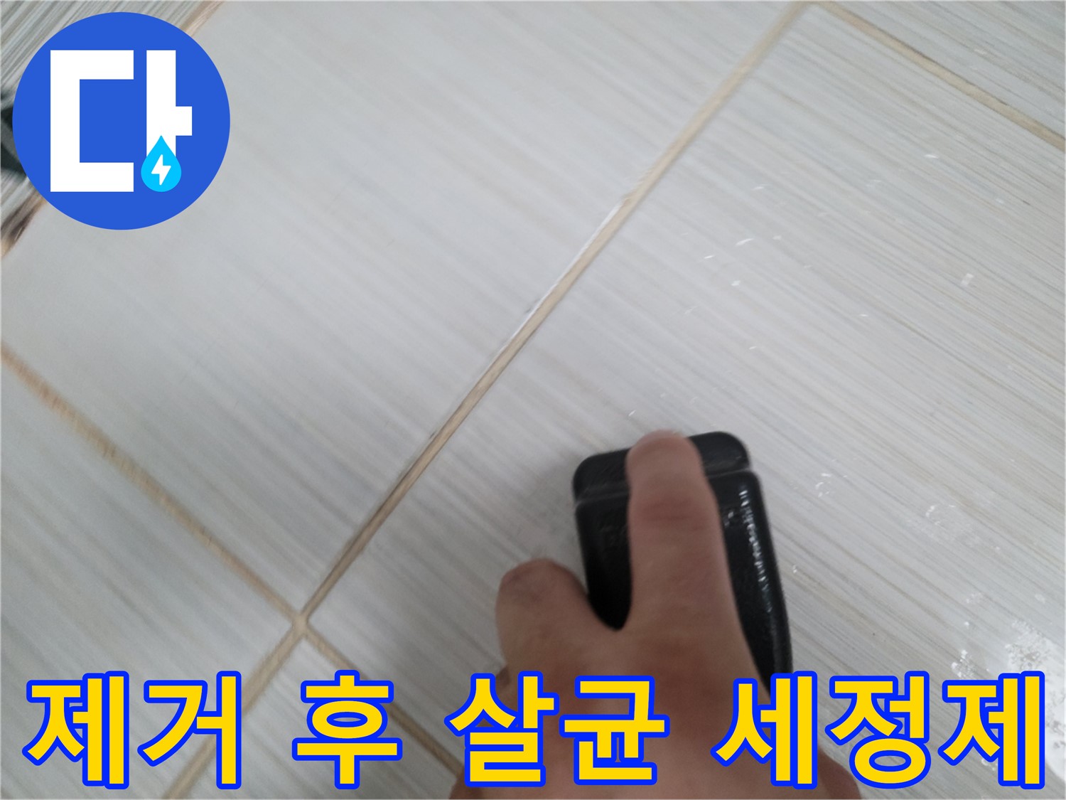 타일 틈새 - 곰팡이 제거 후 살균 세정제 관리