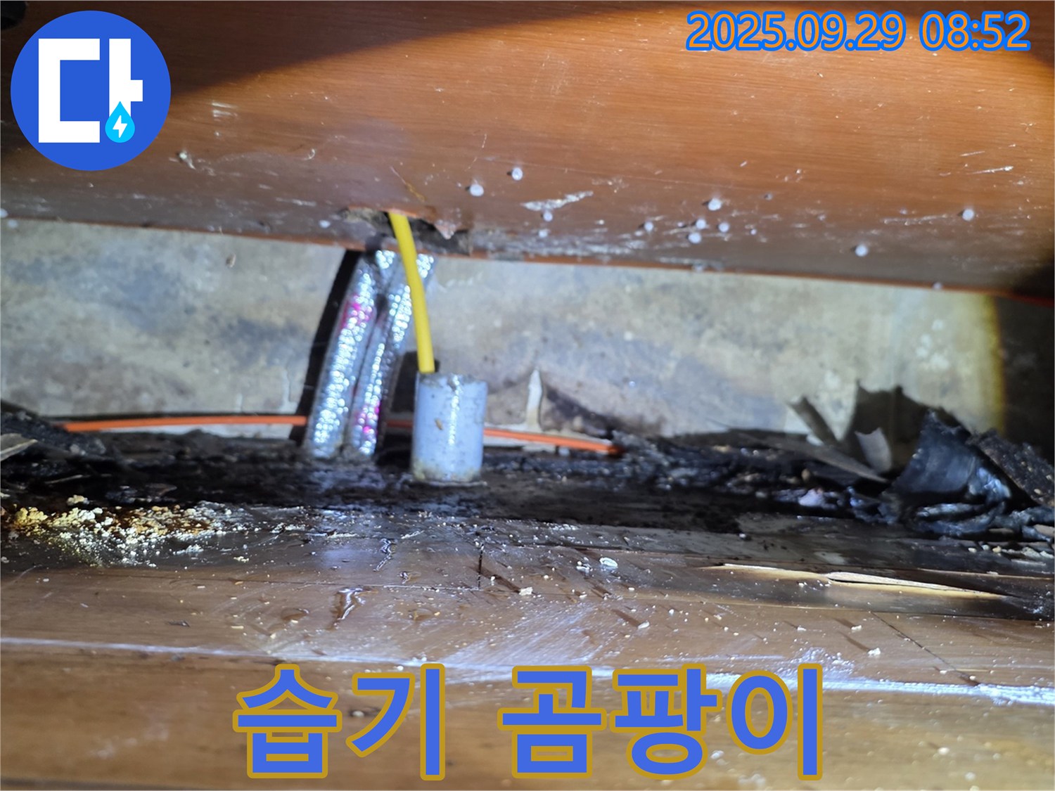 습기로 인한 곰팡이 발생 - 양천구 신월동 누수