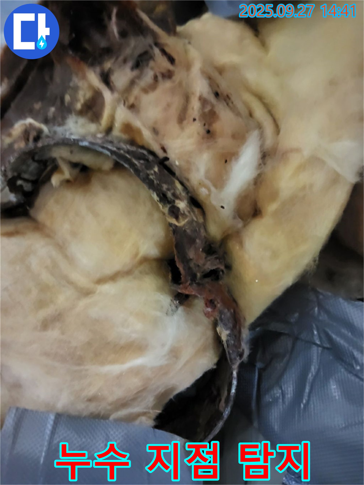 누수 지점 탐지 및 해결 - 천장 누수 - 광적면 누수탐지