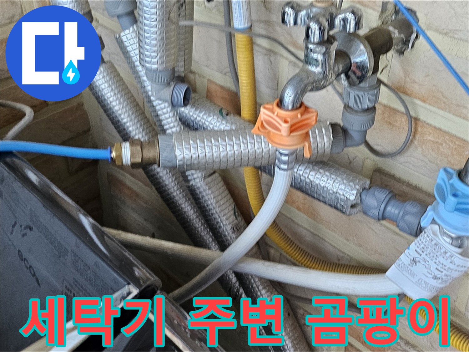 세탁기 주변 곰팡이 - 누수 가능성을 의심하고 정밀 탐지 진행
