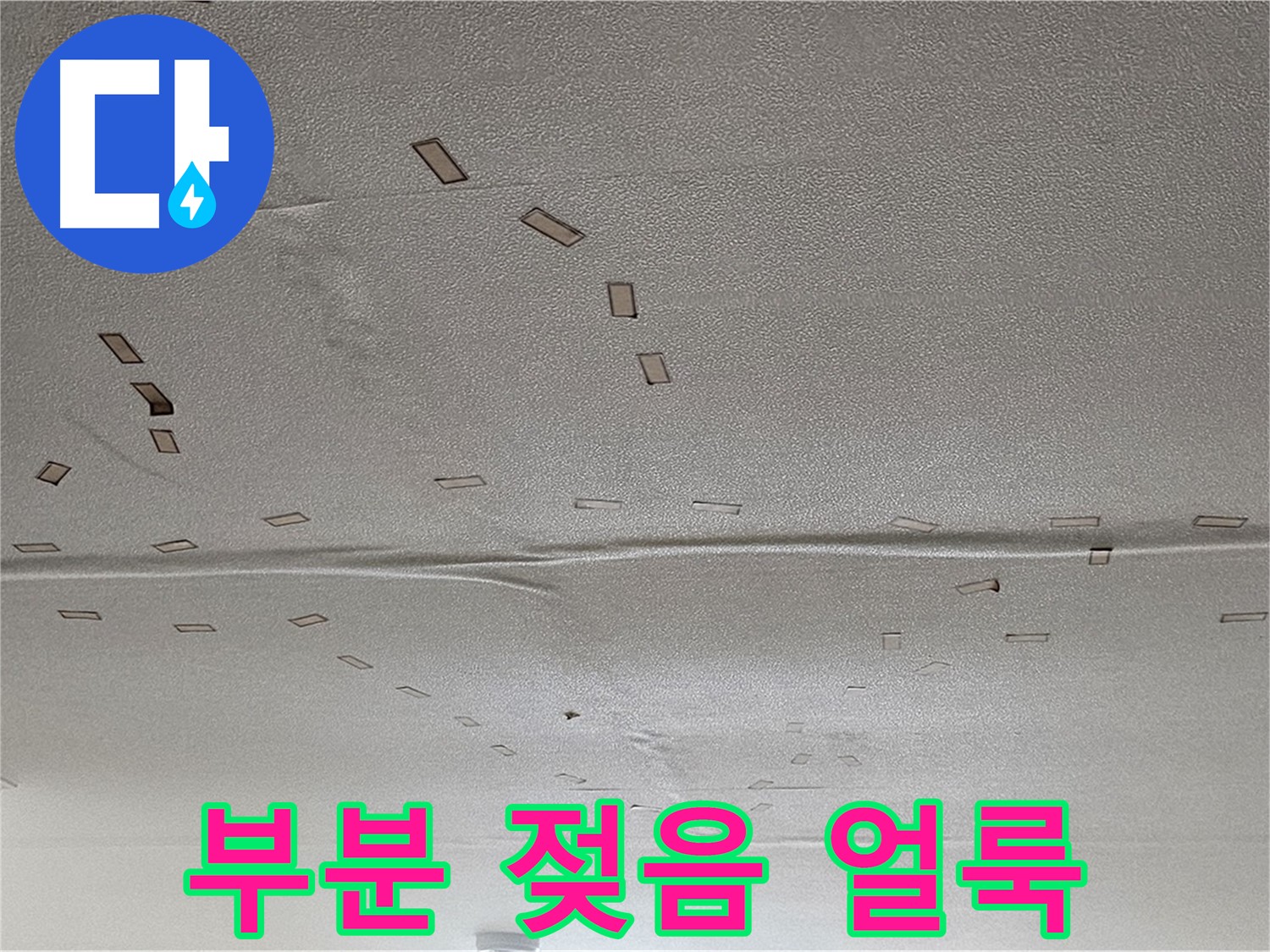 현대시티 아파트 - 부분적인 젖음과 얼룩 - 긴급 누수 탐지 및 원인 분석