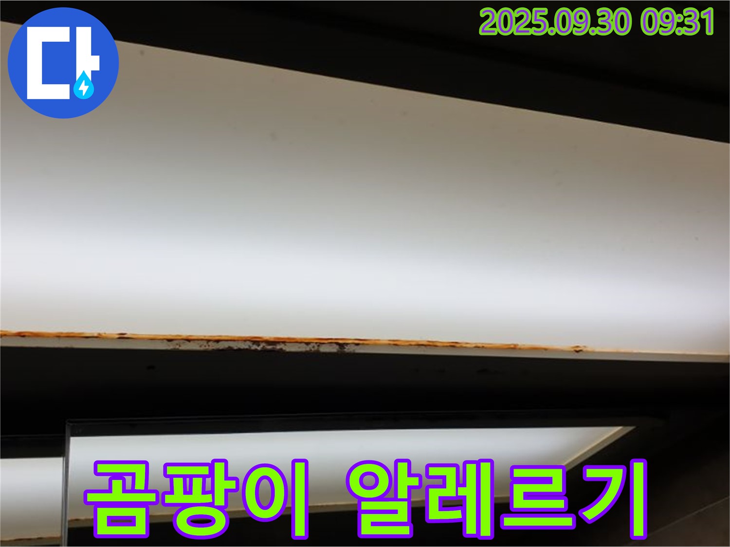 양주 광적면 석우리 누수 - 형광등 곰팡이! 알레르기 유발 주의